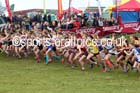 Girls under-13s, National Cross Country Relays, Berry Park, Mansfield. Photo: David T. Hewitson/Sports for All Pics